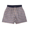 Aquascutum Active Iconic Volley Club Check Regular Fit Shorts - Club Check