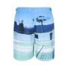 Fila Photographic Long Regular Fit Swim Short - Dusty Aqua