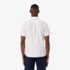 Lacoste Regular Fit Short Sleeved Oxford Shirt - White 001